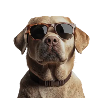 Автоматизация сайта ветклиники